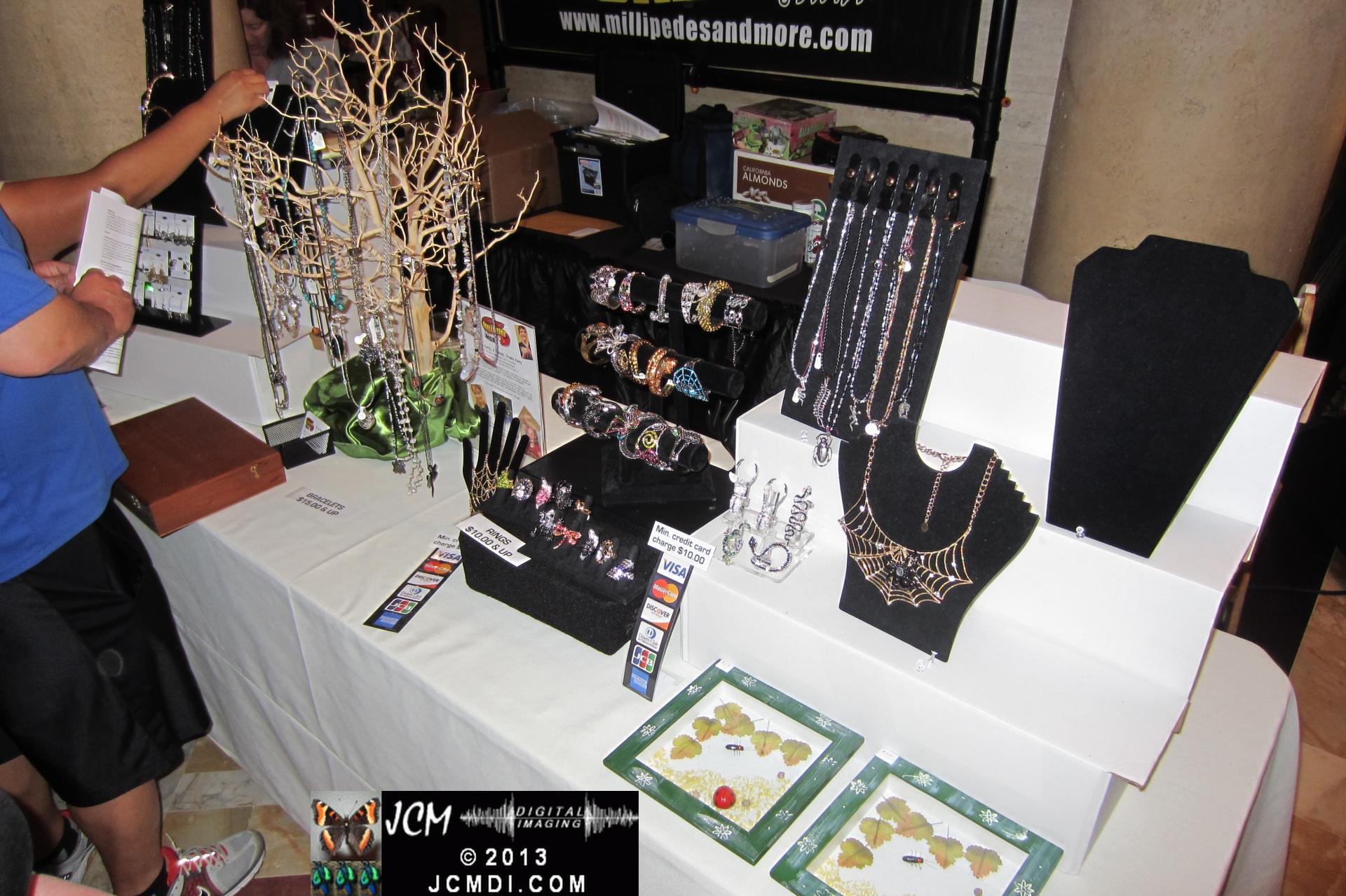 LANHM Bug Fair 2013 crowds and displays